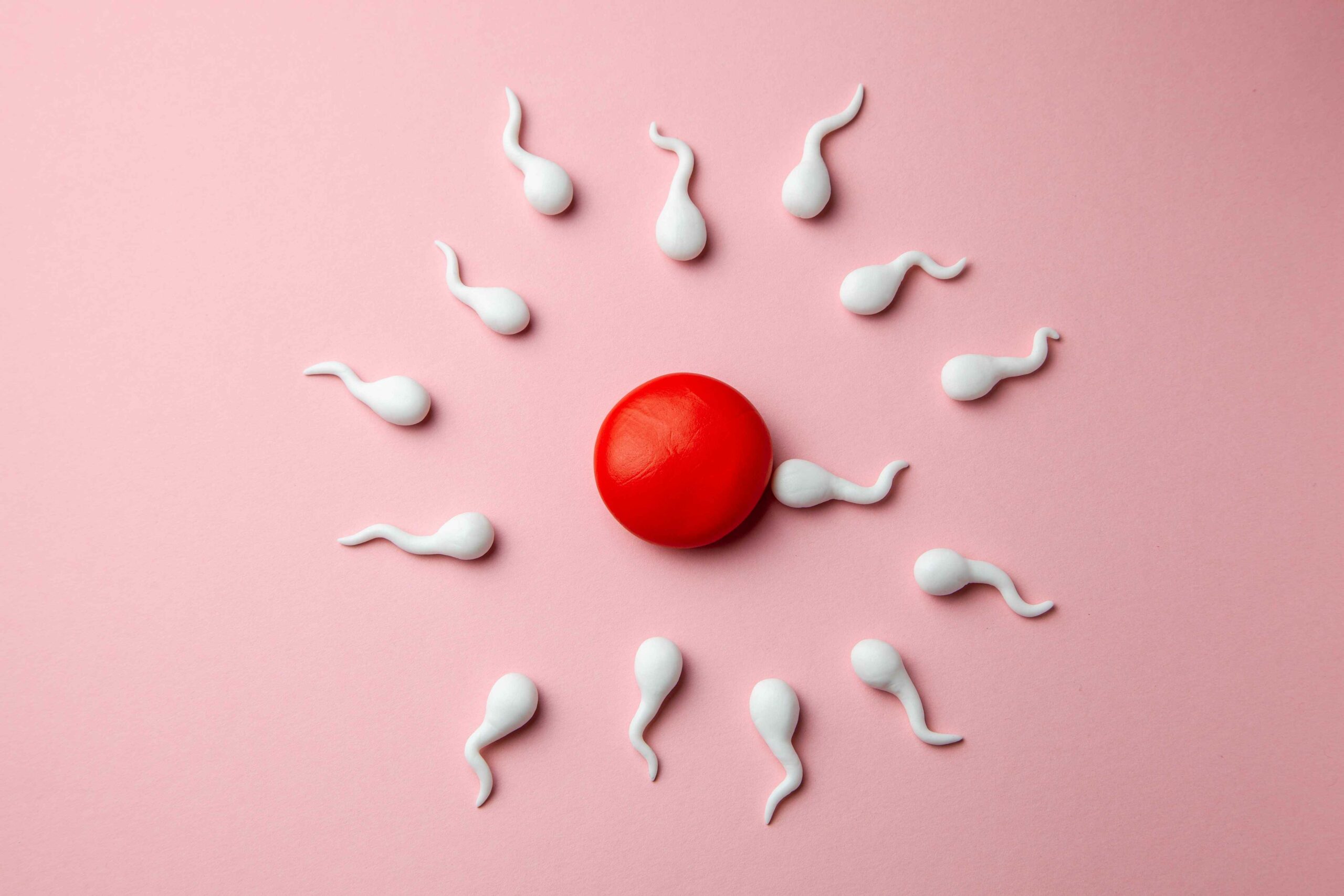 Analiza muške neplodnosti - Spermiogram